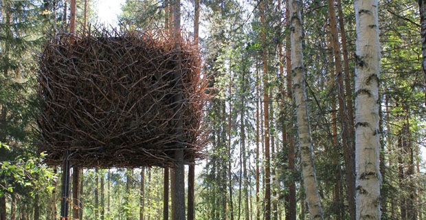 Involucri-legno-bird-nest-a