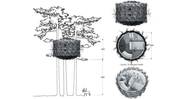 Involucri-legno-bird-nest-c