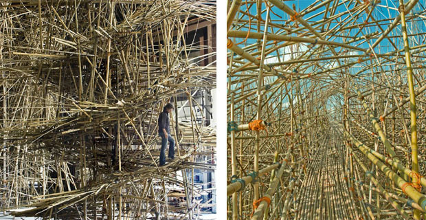 big-bamboo-installazione-roma-d
