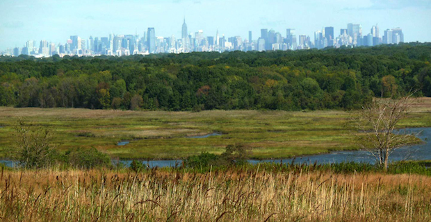discarica-new-york-parco-b