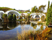 feng-shui-bioarchitettura-libro-a