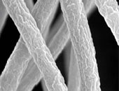 nanocristalli-cellulosa-legno-a