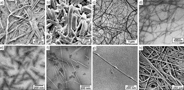 nanocristalli-cellulosa-legno-b