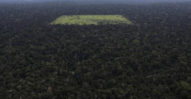 deforestazione-amazzonia-f