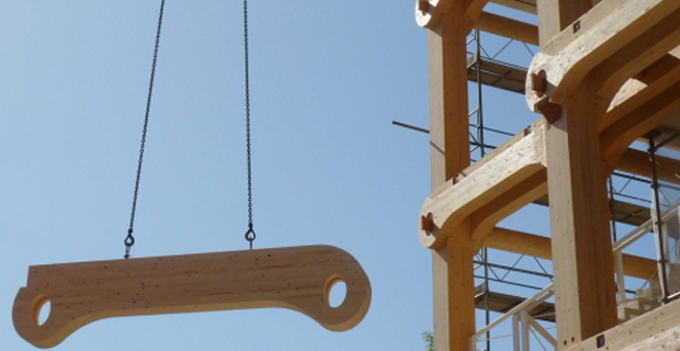 Il processo di assemblaggio delle travi in legno di Tamedia: in primo piano una delle traverse ovali della struttura. © Blumer-Lehmann AG