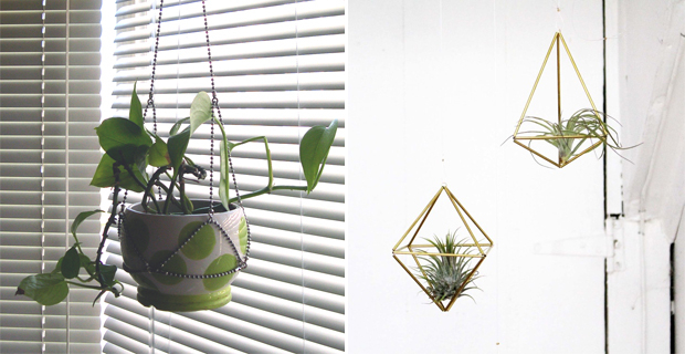  A destra, Urban Wild Studio, Geometric Brass Plant Hanger (Cube) + Air Plant