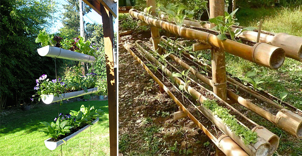 Idee per giardini sospesi in canne di bambu