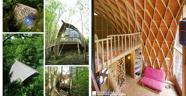casa-legno-foresta-b
