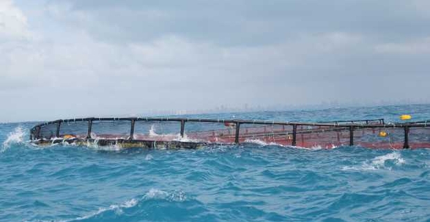  Deformazione di una gabbia per piscicoltura indotta dalle onde. Foto tratta dal sito del progetto di ricerca Mermaid.