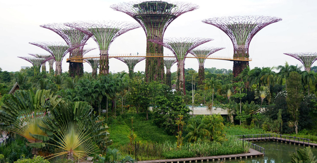 gardens-bay-singapore-c