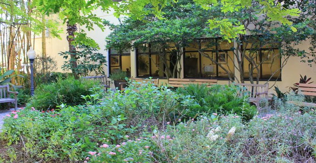  Jacqueline Fiske Healing Garden, Jupiter Medical Center, Jupiter (Florida)