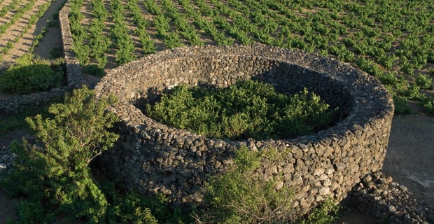caption: un "Jardinu" di Pantelleria. 