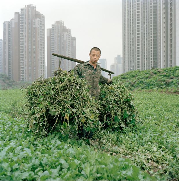 urban-farming-cina-d