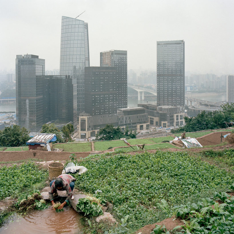 urban-farming-cina-g