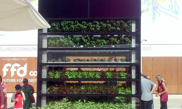 vertical-farm-expo-d