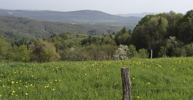 workshop-terra-paglia-c