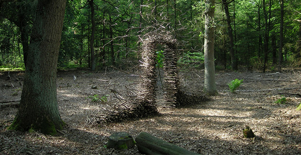 Un'installazione magica di Cornelia Konrads nella foresta
