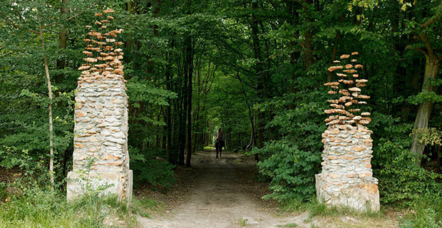  The gate, 2004 © Cornelia Konrads