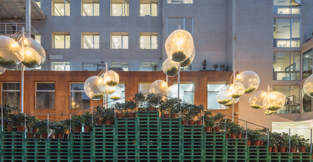 Di notte le sfere di vetro illuminano Urban Bloom