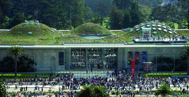 California Academy of Arts di Renzo Piano a San Francisco