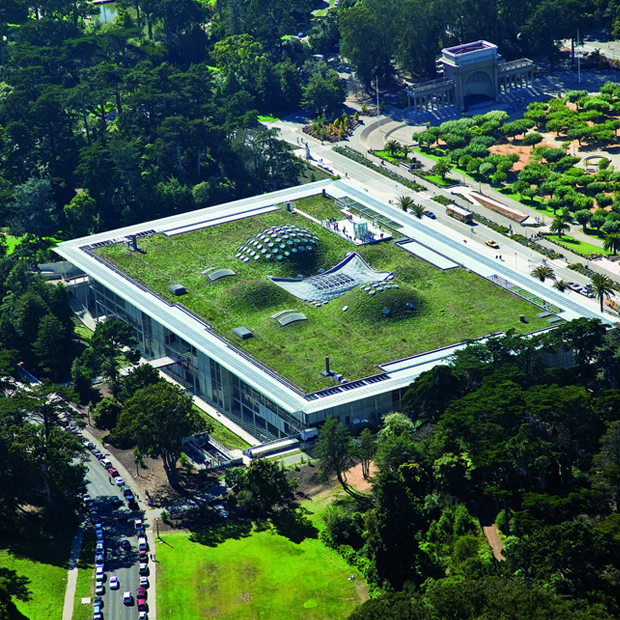 California Academy di Renzo piano vista dall'alto