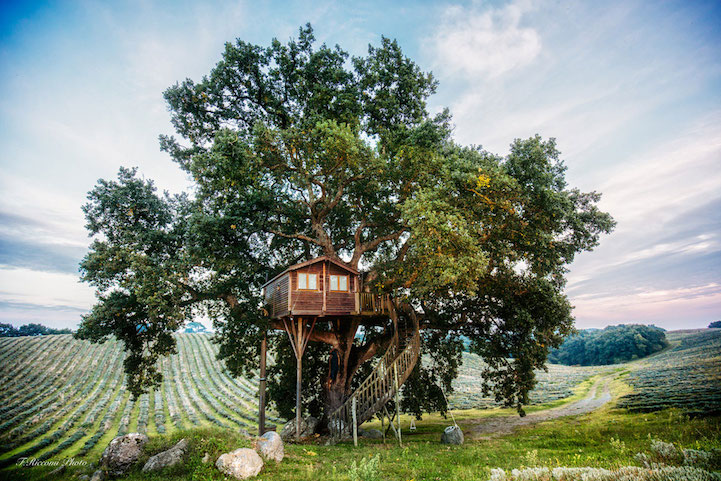 Case sull'albero della Suite Bleue nel Lazio.