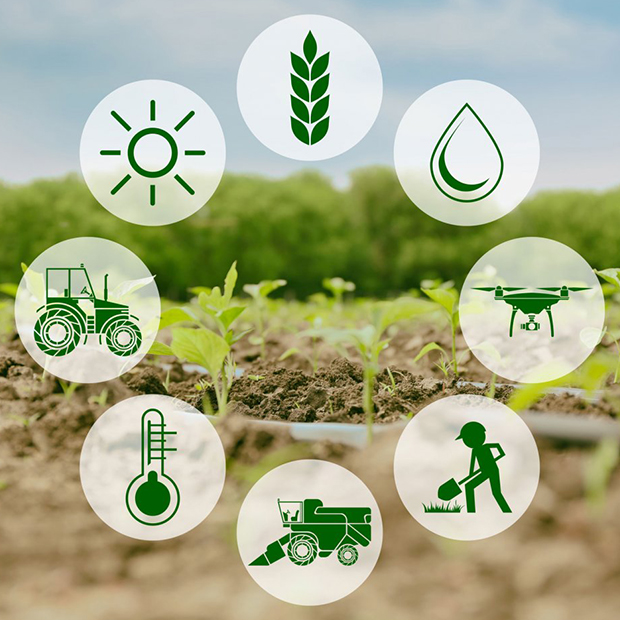 agricoltura 4 tecnologia sostenibilita