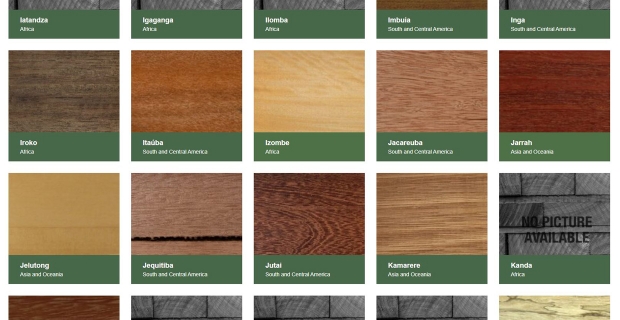 Alcune delle specie legnose catalogate nell'archivio di Lesser Known Timber Species