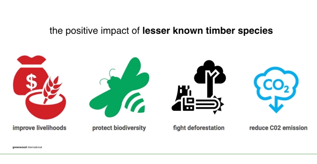 Schematizzazione degli impatti positivi nell’uso di specie di legname poco note ma diffuse e controllate nella propria filiera produttiva