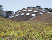 California-academy-of-sciences-green-roof