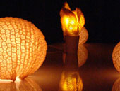 Eco-design-lampade-animali-Lohmann