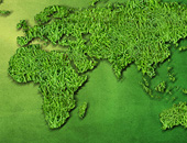 Eco-turismo-definizione-organizzazioni-statistiche-e-mete-prescelte-1