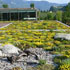 Esempio-Green-Roof-dg