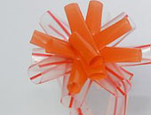 Flow-eco-anello-1
