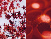 climatex-tessuto-jacquard-ecologico