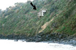 Ecomostro-Acireale-hotel-aloha-mare-b