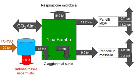 Fermentazione-Oscura-Flussi-di-C-big