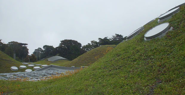 Green-roof-california-academy-science-piano