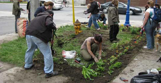 Guerrilla-gardening-b