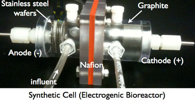 Biotecnologie-3