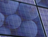 Fotovoltaico-frutti-di-bosco-b