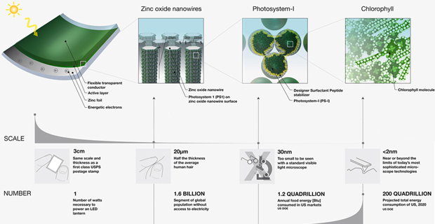 Fotovoltaico-organico-c