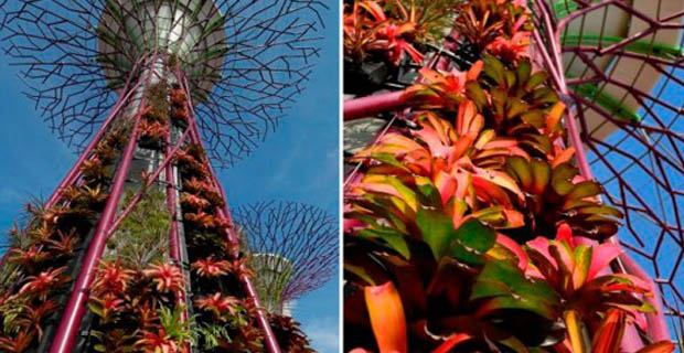 Gardens-by-the-Bay-Singapore-i