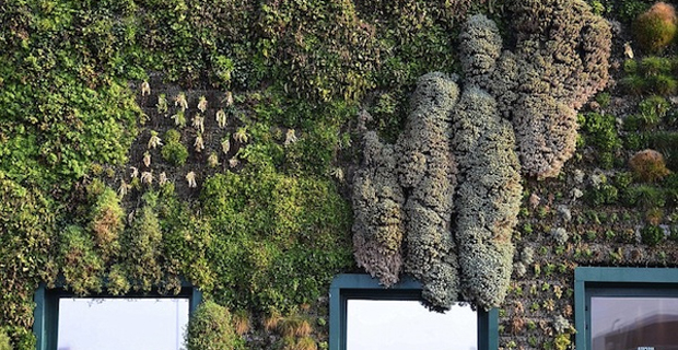 In italia il giardino verticale più grande del mondo Giardino in verticale