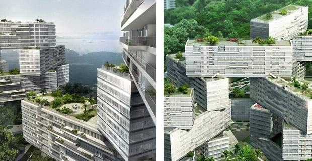 Rooftop-Farming-l-Singapore
