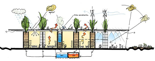 Scuola-ecologica-gaza-cucinella-d