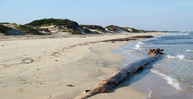 Sos-coste-spiagge-f-parco