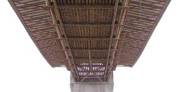  Ponti realizzati in bambù, architetto Simon Velez.