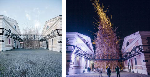 big-bamboo-installazione-roma-c