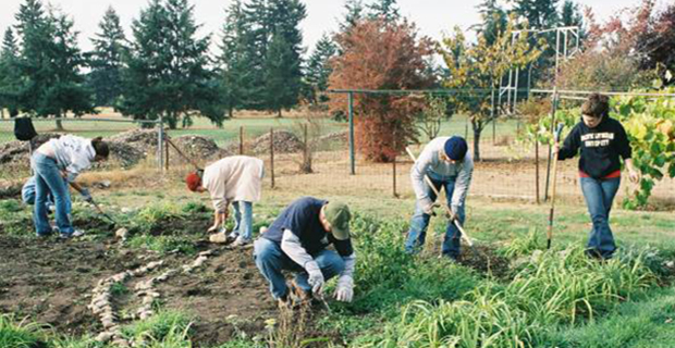 community-garden-new-york-e